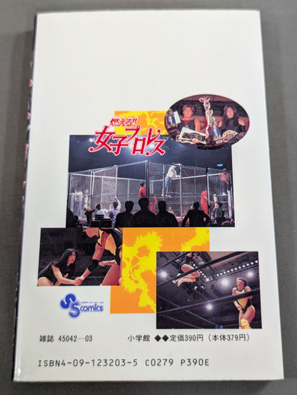[All 3 volumes set] Burning! !! Women's Pro Wrestling