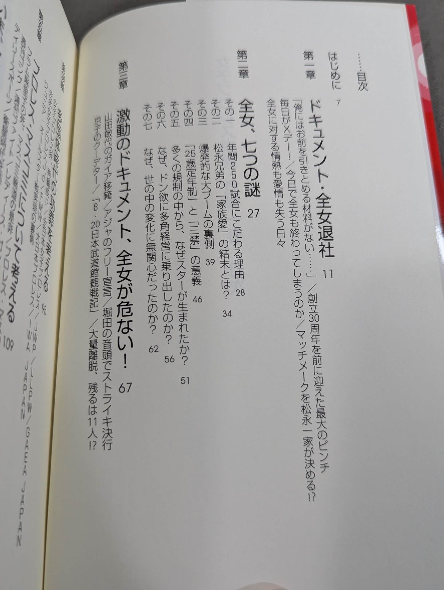 衝撃ドキュメント 女子プロレス崩壊 危機一髪
