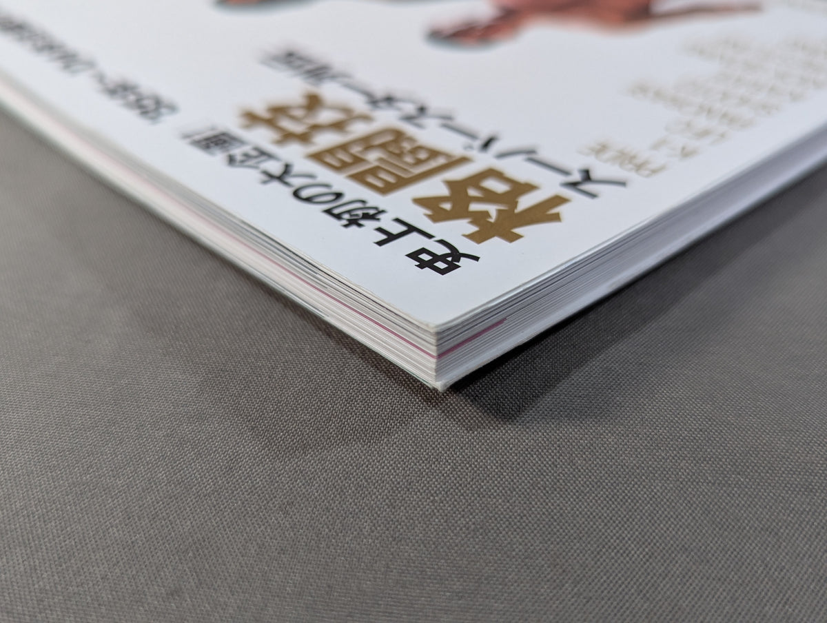 格闘技スーパースター列伝 1985-2004 SUPER FIGHTER PHOTO GALLERY