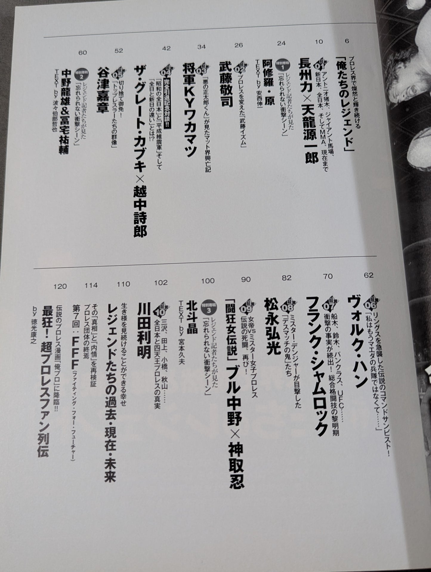 俺たちのプロレス Vol.9 今だから明かせる!レジェンドたちの13名の「証言」 長州力×天龍源一郎