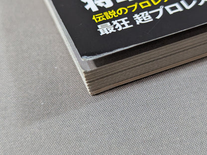俺たちのプロレス Vol.9 今だから明かせる!レジェンドたちの13名の「証言」 長州力×天龍源一郎
