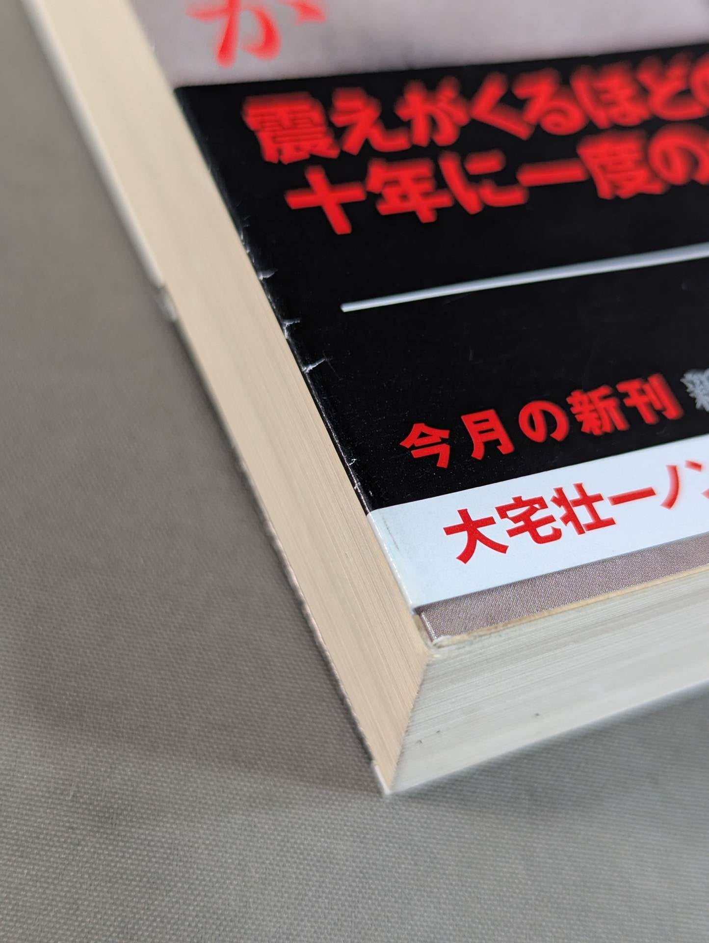 木村政彦はなぜ力道山を殺さなかったのか(上) – 闘道館