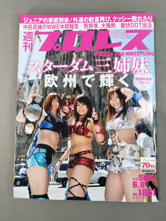 Weekly Pro Wrestling 1851