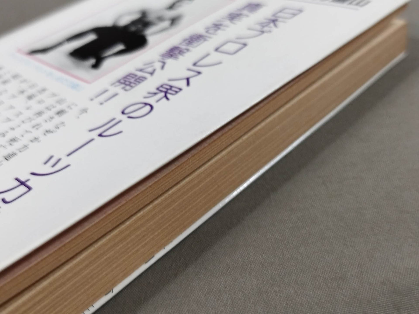 For some reason now, Rikidozan  The Truth, the Strongest Immortal KARATE  Chop
