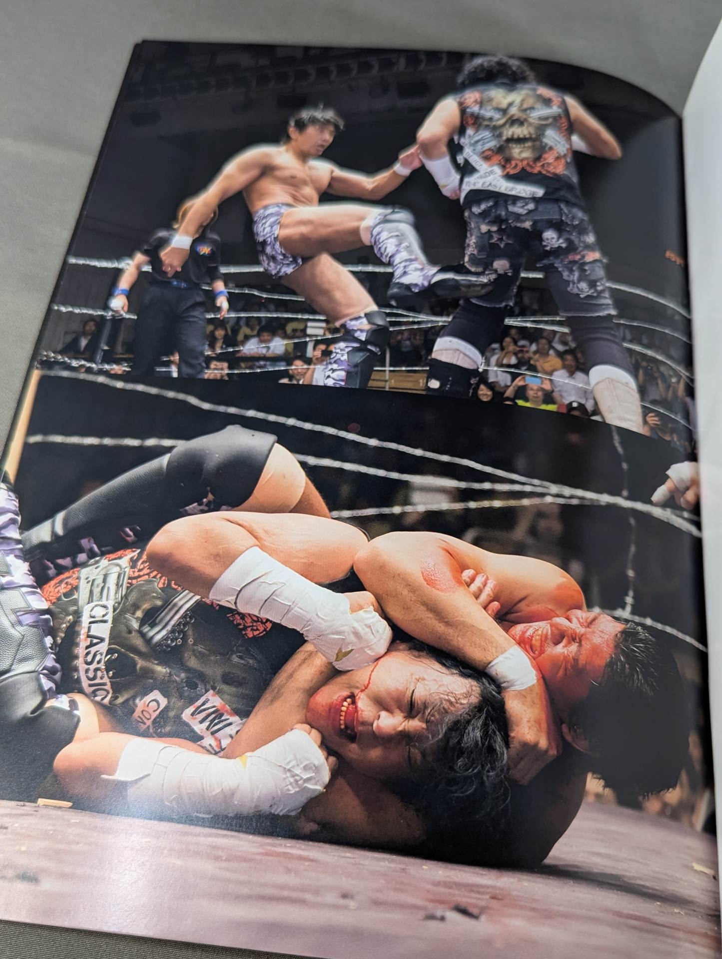 ファイトアルバム④ 船木誠勝 – 闘道館