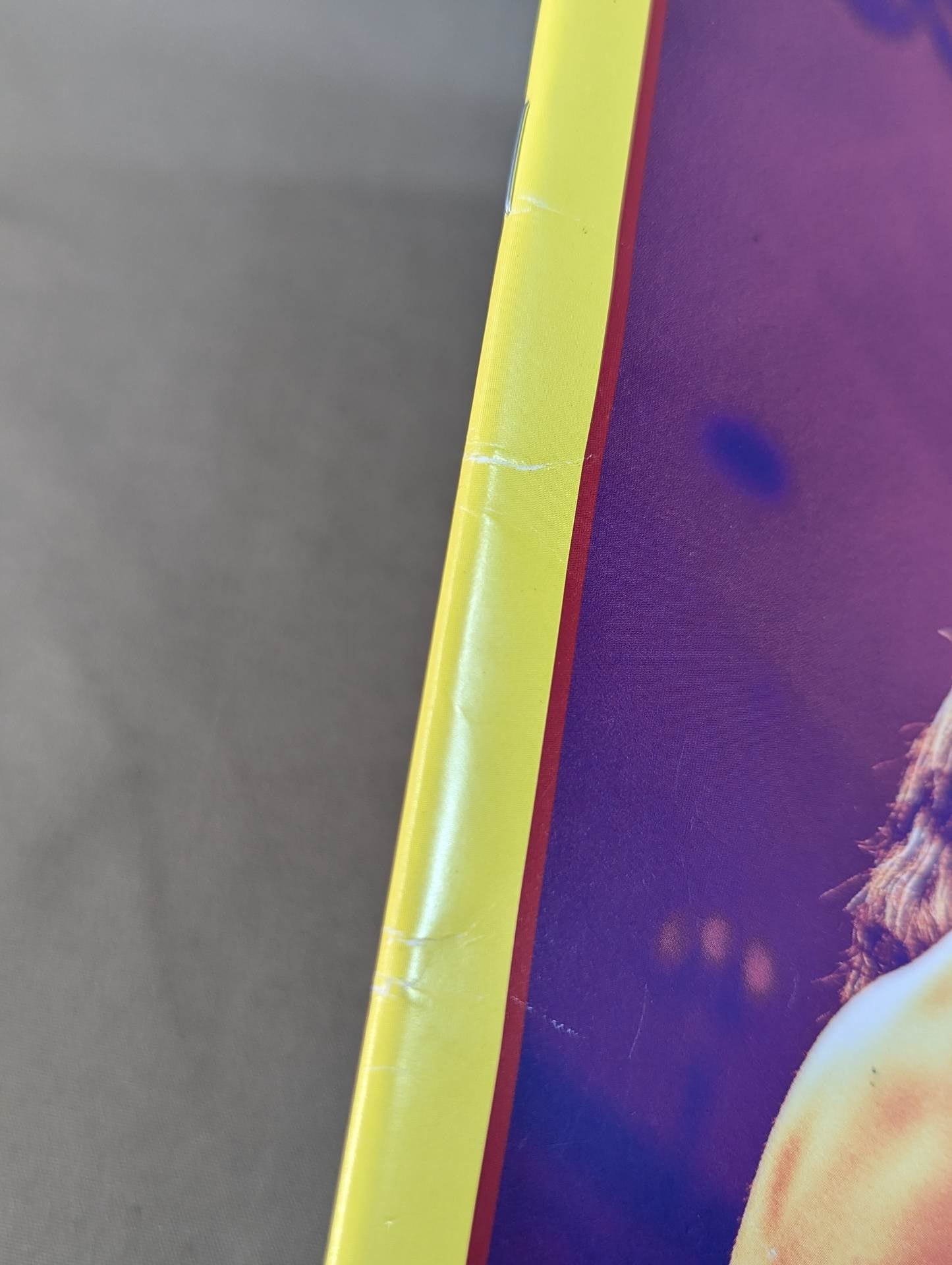 Fight Album (4) Masakatsu Funaki