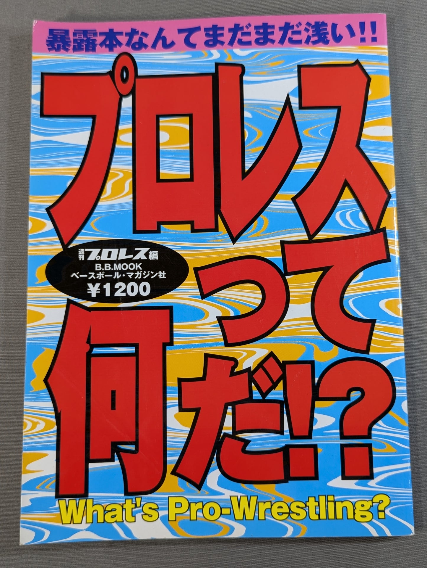 What is Pro Wrestling!? The exposure book is still shallow! !
