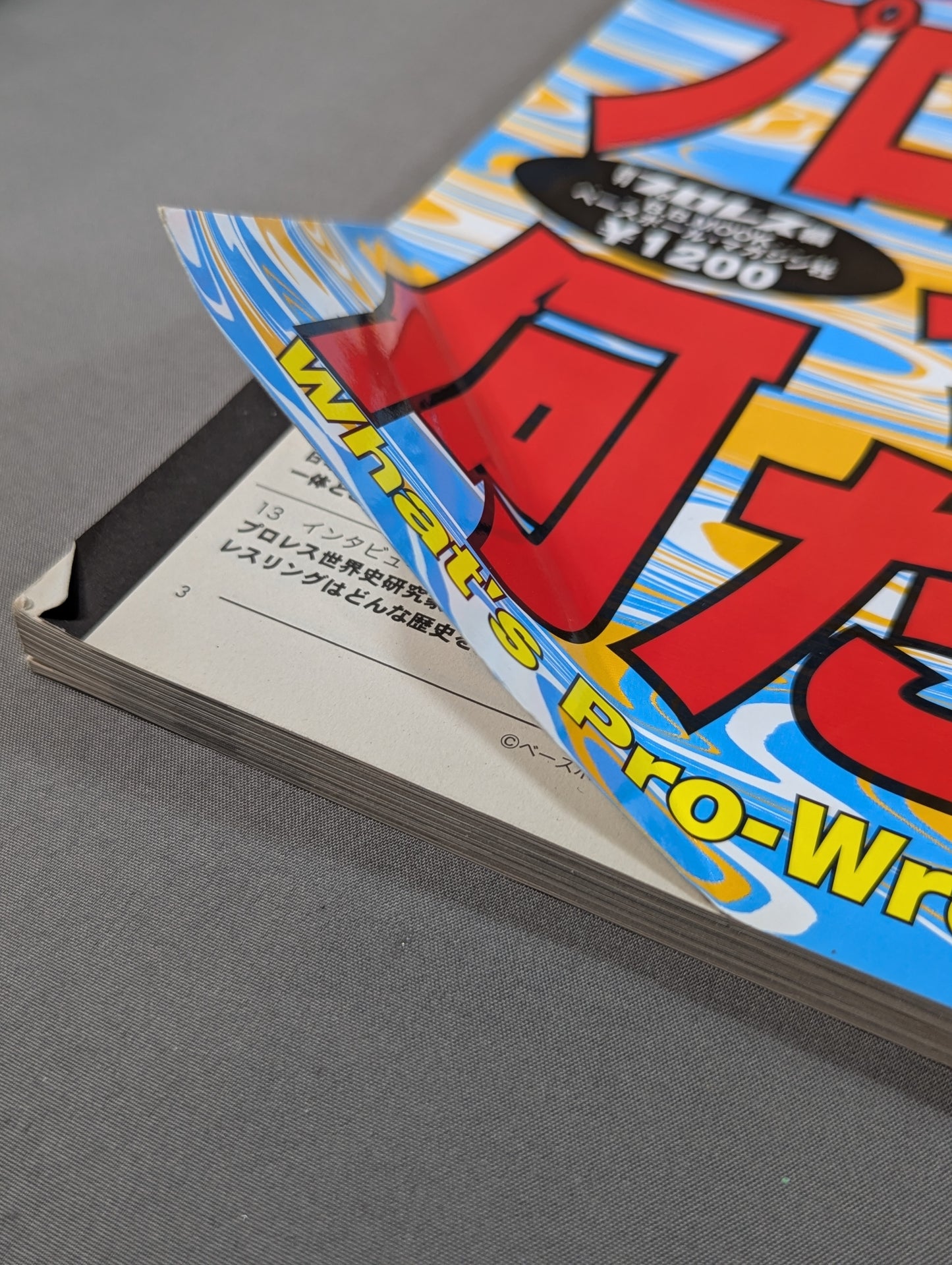 What is Pro Wrestling!? The exposure book is still shallow! !