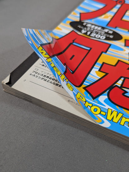 What is Pro Wrestling!? The exposure book is still shallow! !