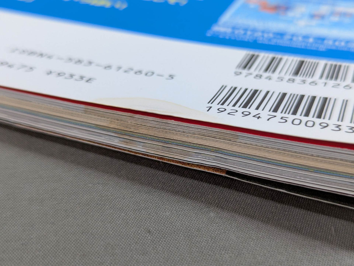 The Mystery and Truth of The Masked Man World "Masked Wrestler"