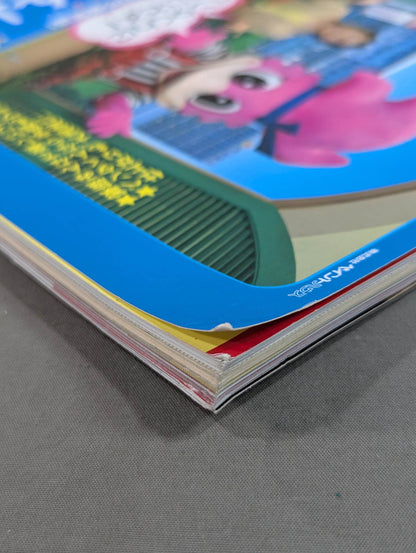 The Mystery and Truth of The Masked Man World "Masked Wrestler"