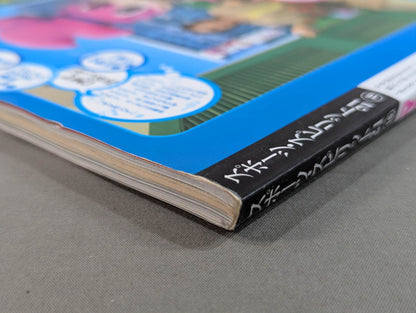 The Mystery and Truth of The Masked Man World "Masked Wrestler"