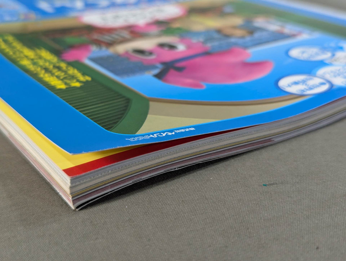 The Mystery and Truth of The Masked Man World "Masked Wrestler"