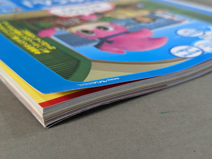 The Mystery and Truth of The Masked Man World "Masked Wrestler"