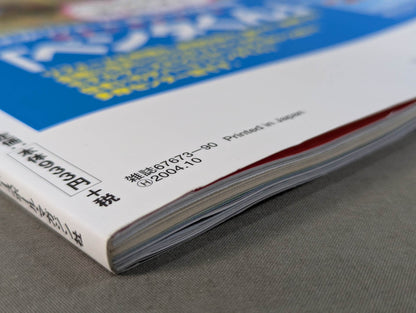 The Mystery and Truth of The Masked Man World "Masked Wrestler"