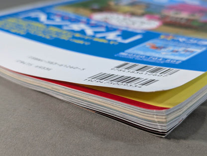 The Mystery and Truth of The Masked Man World "Masked Wrestler"