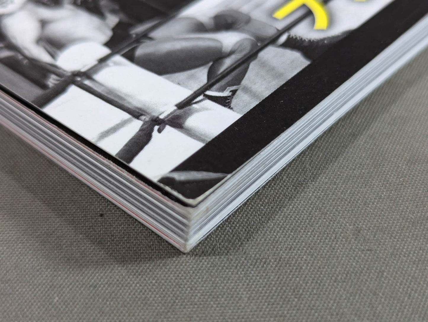 The Radical History of Pro Wrestling in Japan: Hisashi Shinma's Self Is Still on the Battlefield!