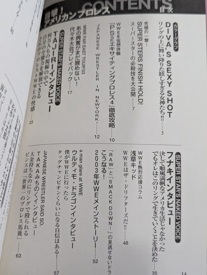 目撃!アメリカンプロレス