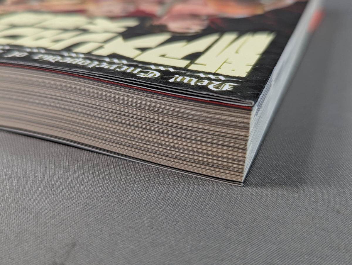 New American Pro Wrestling Encyclopedia: Behind-the-scenes knowledge of WWE terminology!