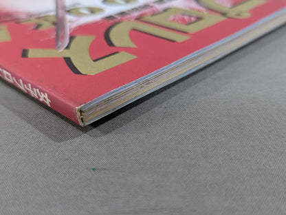 Women's Pro Wrestling  SUPER BOOK! Akira Hokuto  ~ Mexico Exclusive Close-up