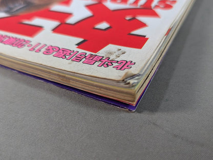 Women's Pro Wrestling  SUPER BOOK!2 All-Out Special Feature, Hokuto Retirement & Tokyo Dome Commemorative Issue