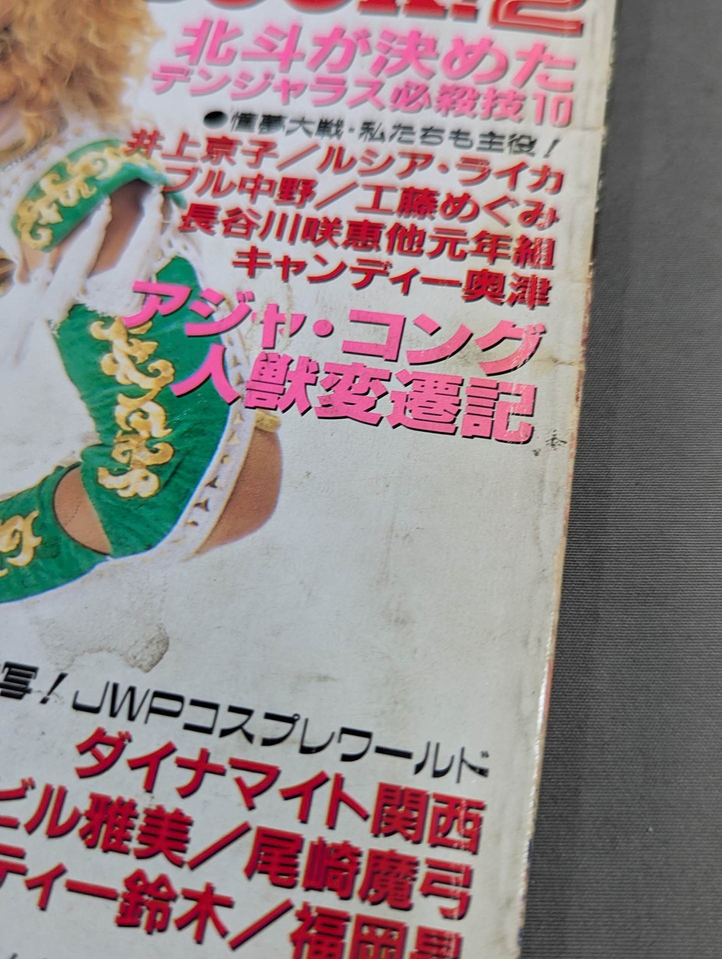 女子プロレス SUPER BOOK!2 総力特集・北斗引退&東京ドーム記念号 – 闘道館
