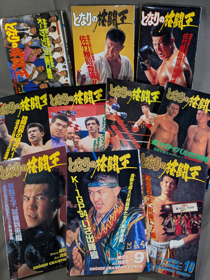 [Complete 10-Volume Set] My Neighbor's Fighting King