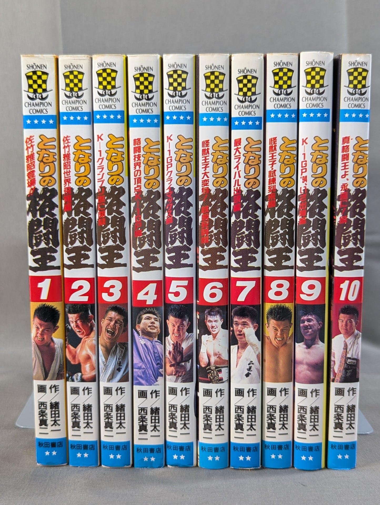 [Complete 10-Volume Set] My Neighbor's Fighting King