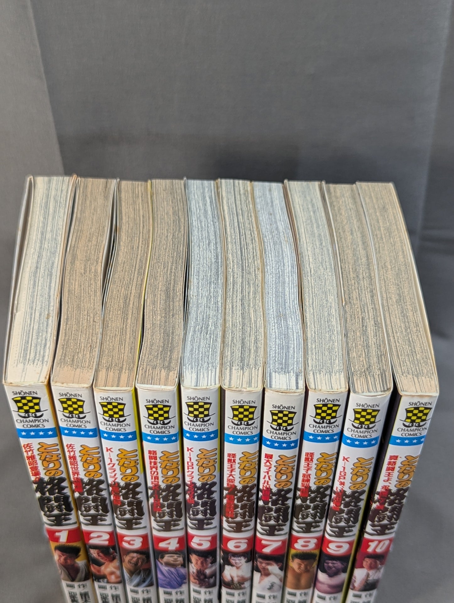 [Complete 10-Volume Set] My Neighbor's Fighting King