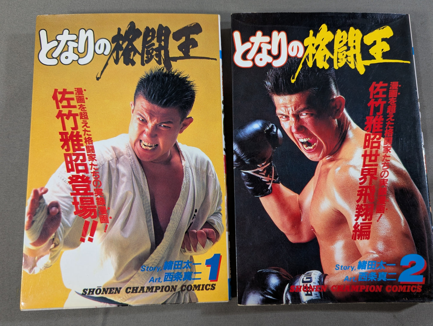 [Complete 10-Volume Set] My Neighbor's Fighting King