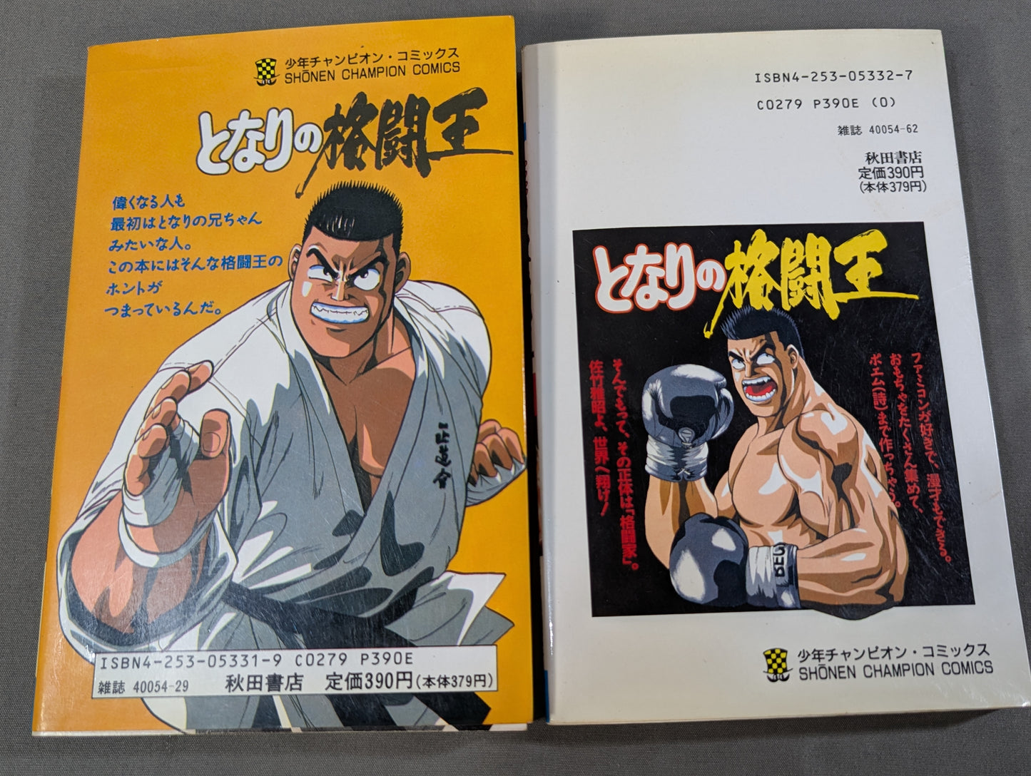 [Complete 10-Volume Set] My Neighbor's Fighting King