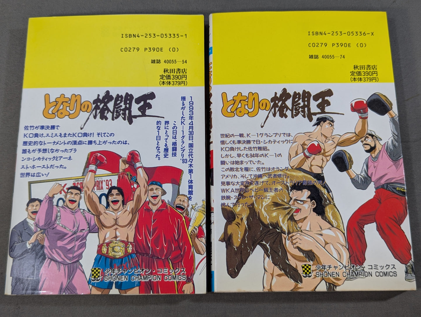[Complete 10-Volume Set] My Neighbor's Fighting King