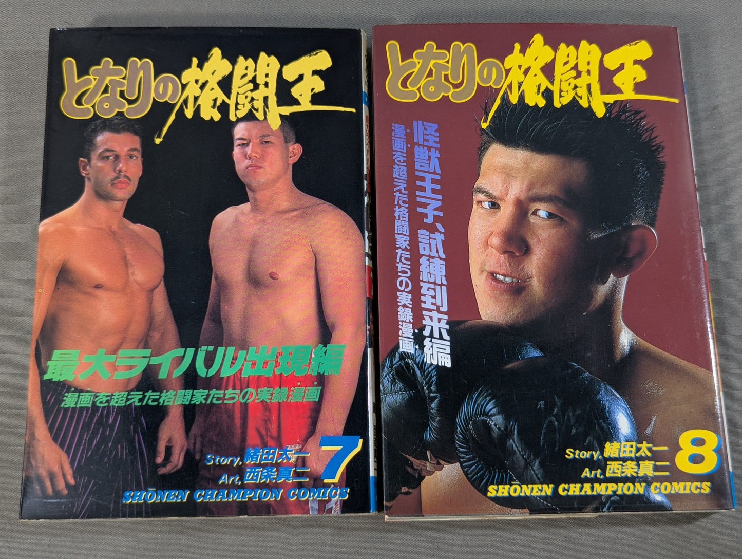 [Complete 10-Volume Set] My Neighbor's Fighting King