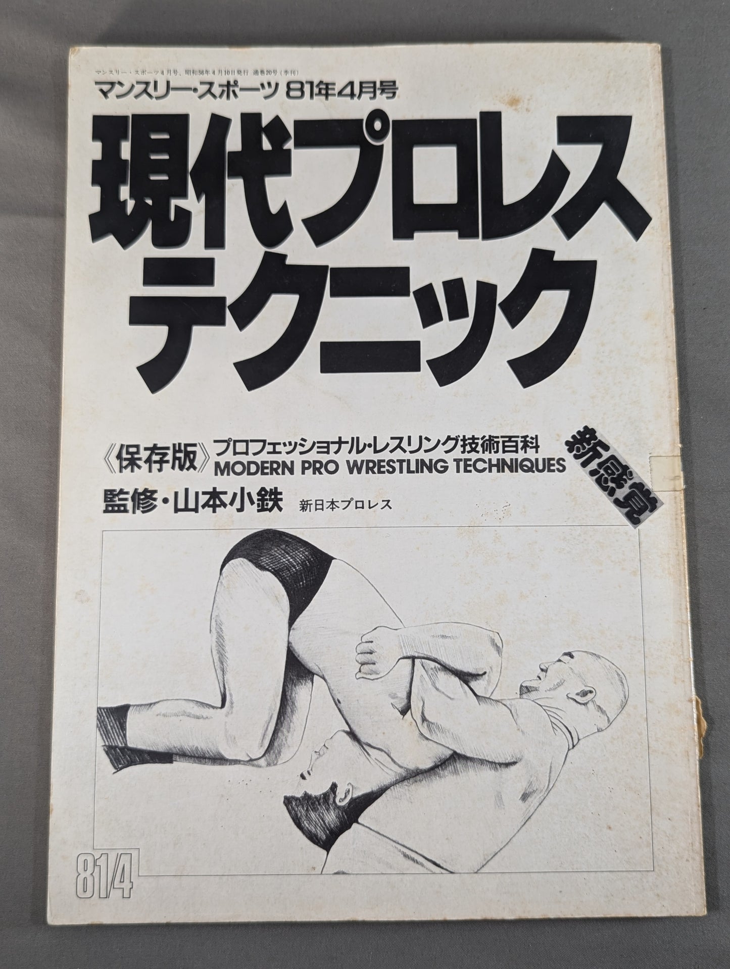 現代プロレステクニック 《保存版》プロフェッショナル・レスリング技術百科