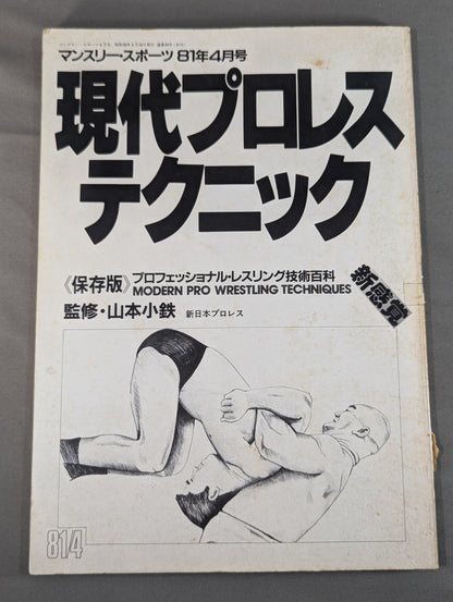 現代プロレステクニック 《保存版》プロフェッショナル・レスリング技術百科
