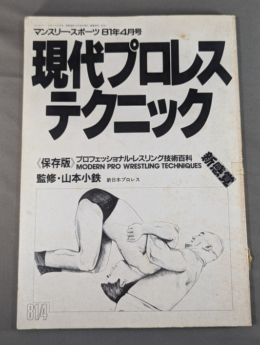 現代プロレステクニック 《保存版》プロフェッショナル・レスリング技術百科