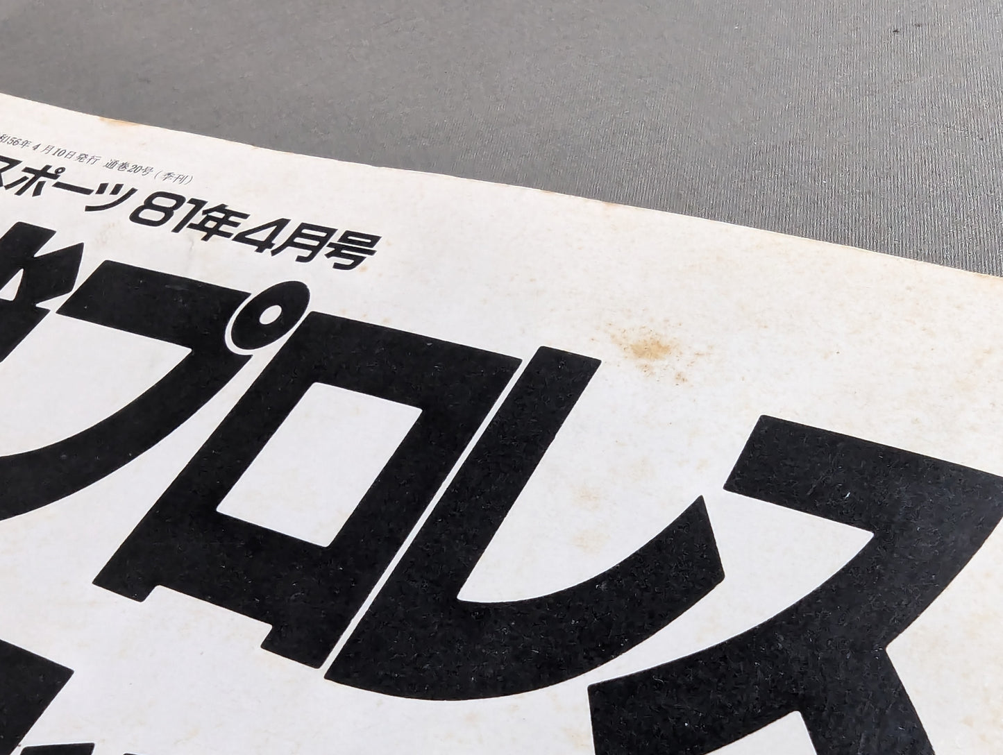 現代プロレステクニック 《保存版》プロフェッショナル・レスリング技術百科