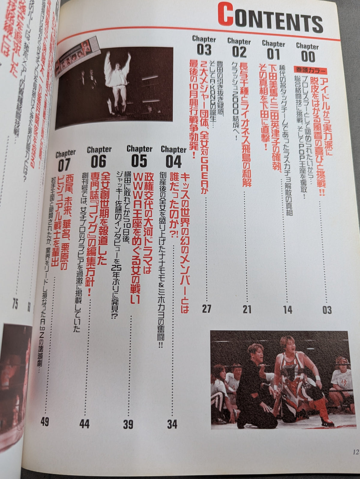 Women's Pro Wrestling Incident File 2