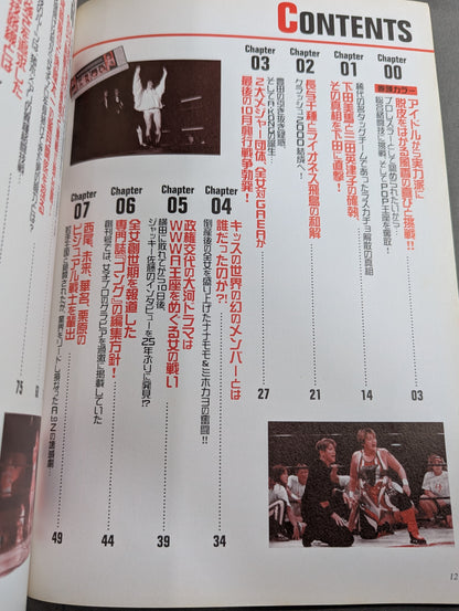 Women's Pro Wrestling Incident File 2
