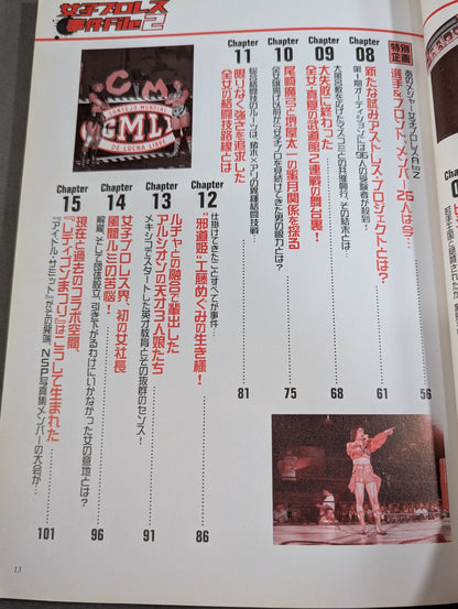 Women's Pro Wrestling Incident File 2
