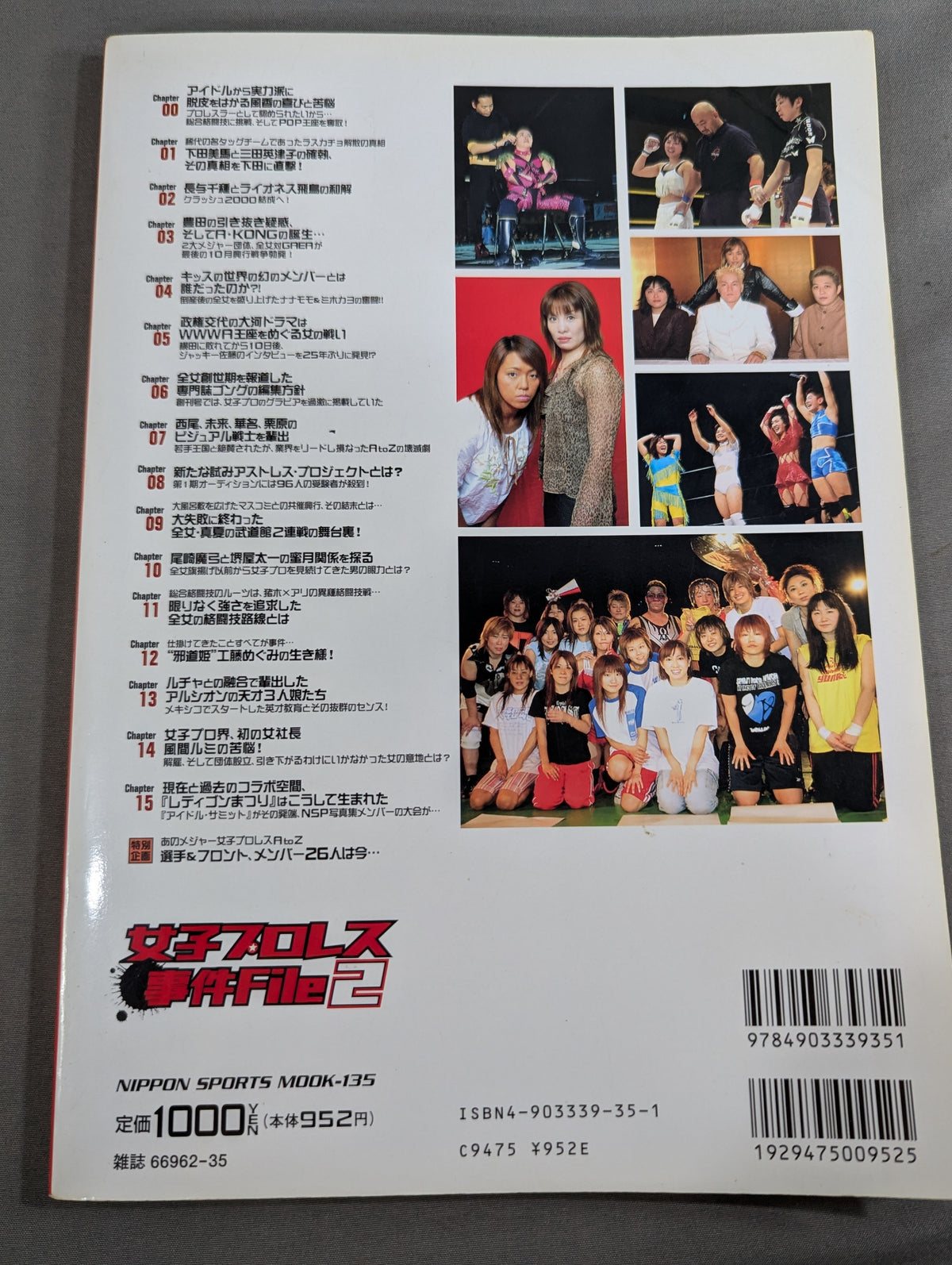 Women's Pro Wrestling Incident File 2