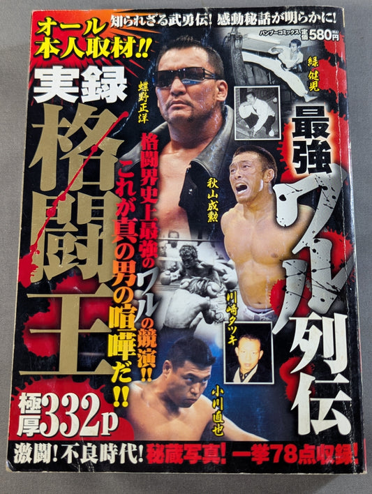 Saikyo Villain Retsuden: True Record - Fighting King