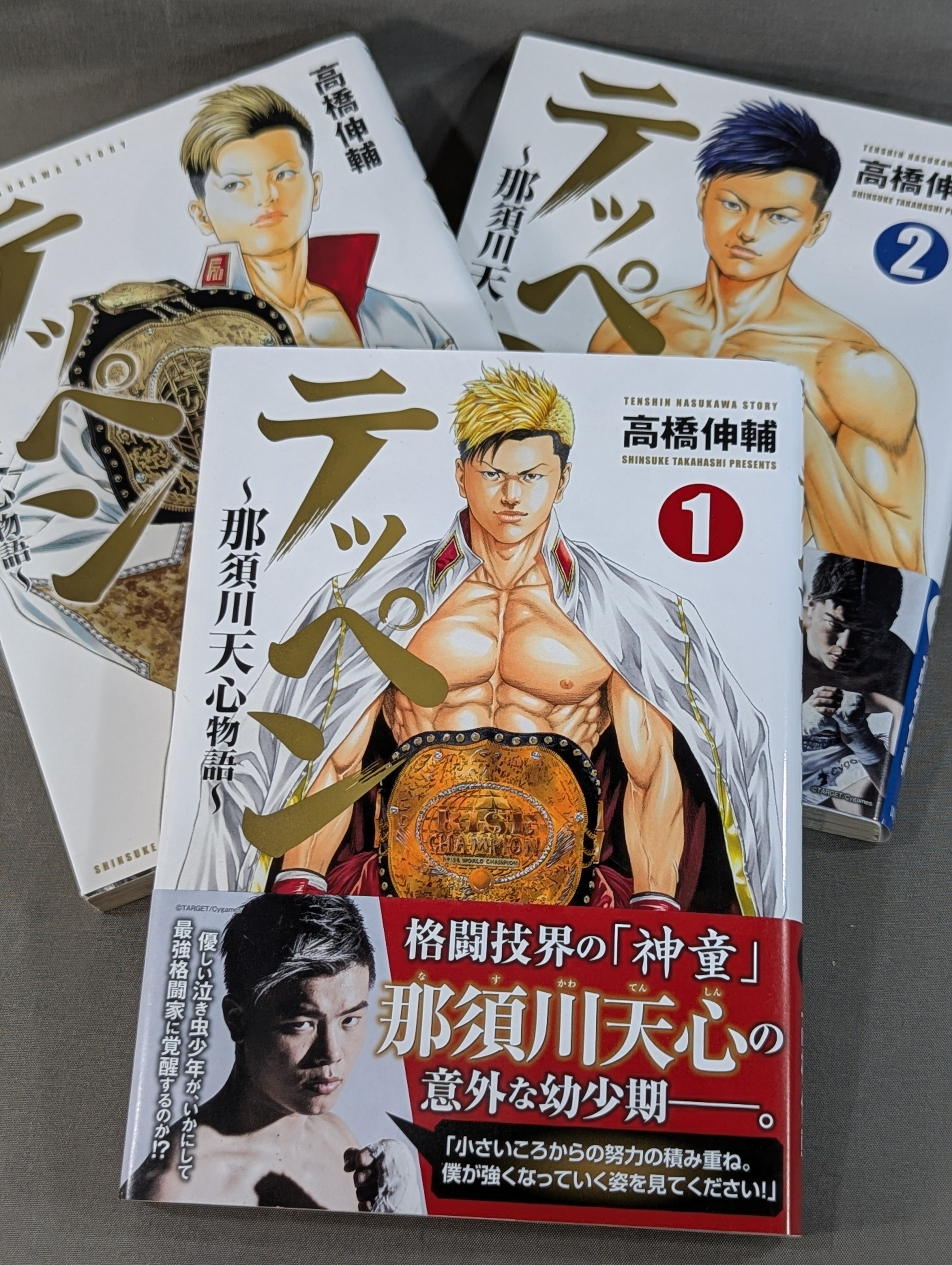 全3巻セット】テッペン ～那須川天心物語～ – 闘道館