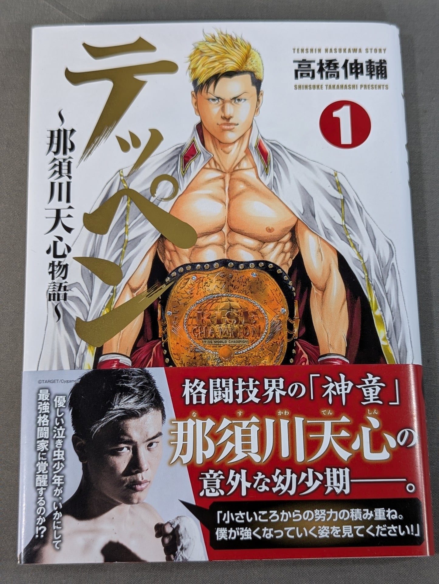 [3-volume set] Teppen ~The Tale of Tenshin Nasukawa ~