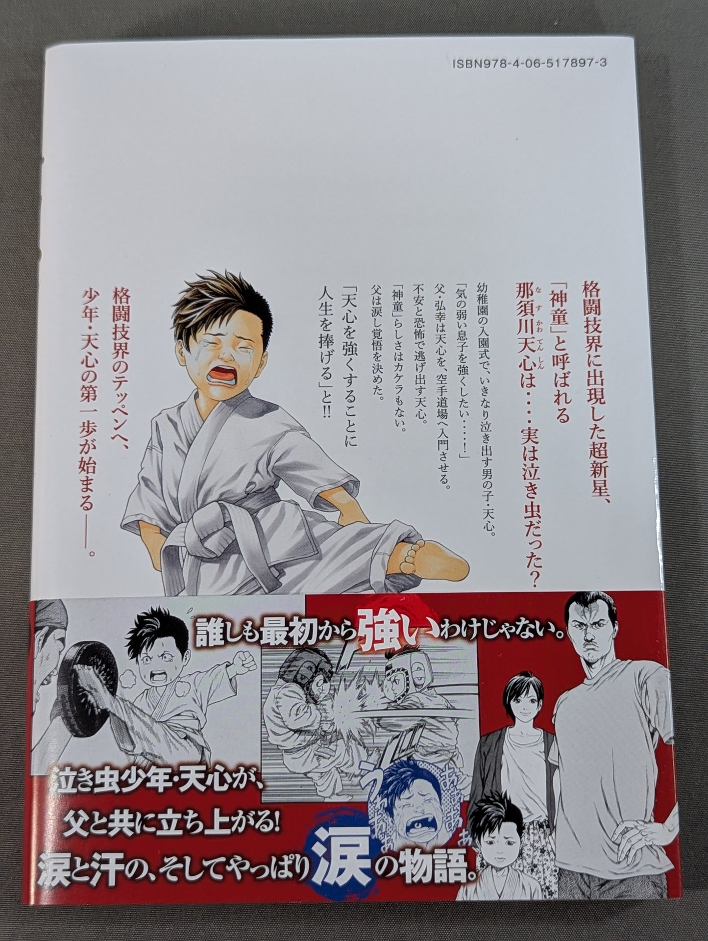[3-volume set] Teppen ~The Tale of Tenshin Nasukawa ~