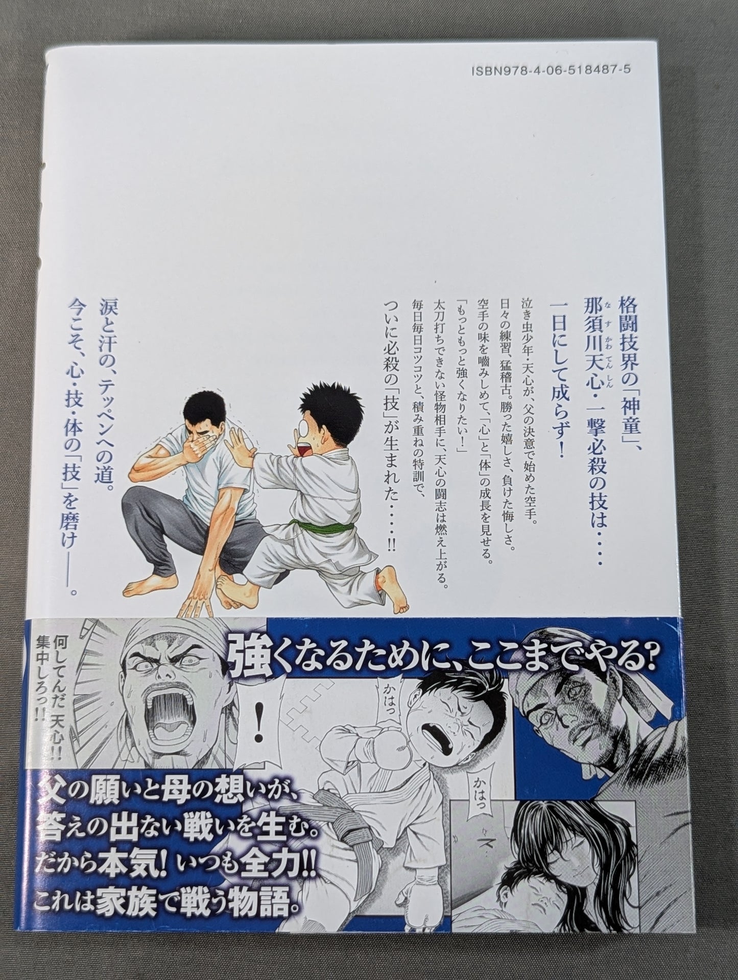 [3-volume set] Teppen ~The Tale of Tenshin Nasukawa ~