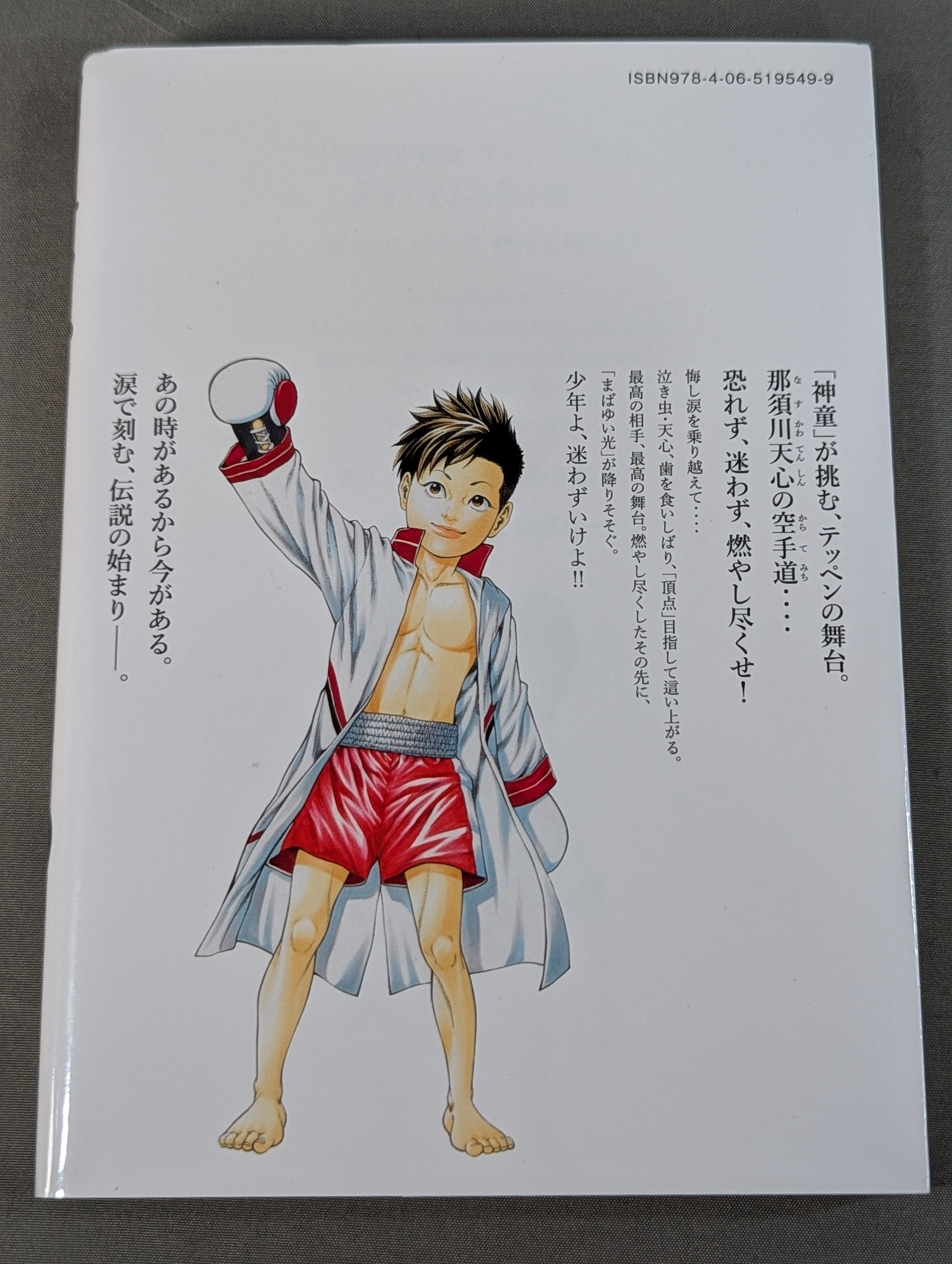 全3巻セット】テッペン ～那須川天心物語～ – 闘道館