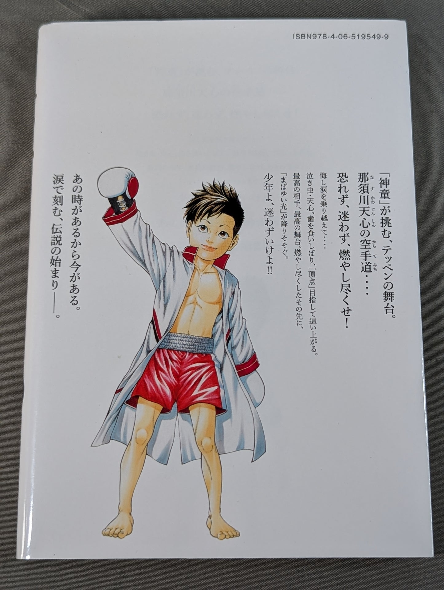 [3-volume set] Teppen ~The Tale of Tenshin Nasukawa ~