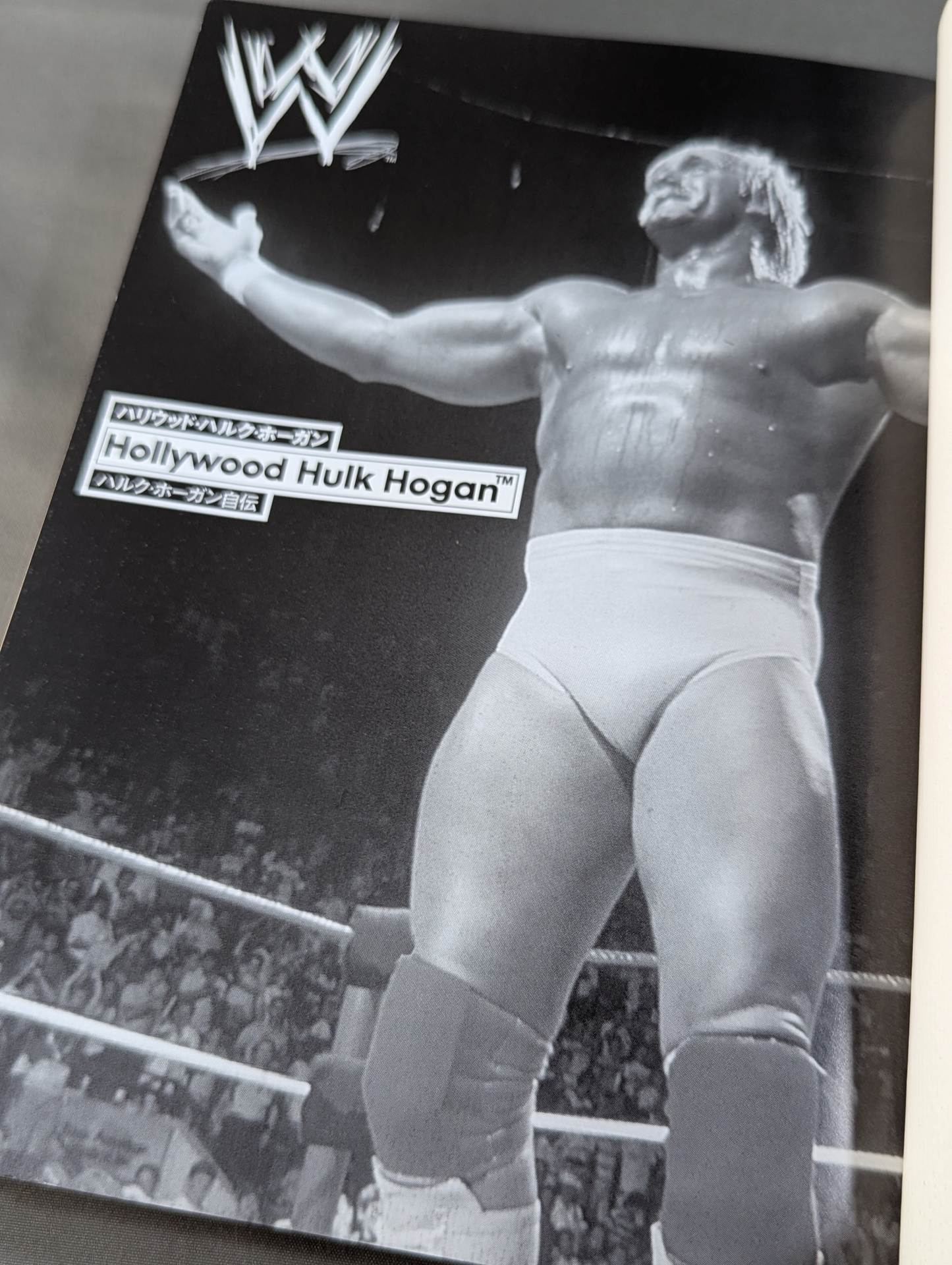 Hulk Hogan  Autobiography Hollywood Hulk Hogan
