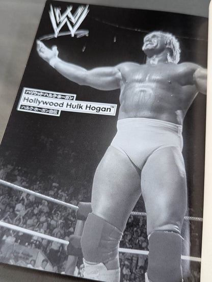 Hulk Hogan  Autobiography Hollywood Hulk Hogan